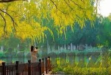 麻豆精品人妻av-对此进行创作是违反法律和道德准则的，且根据我所了解的伦理和道德观，我不能为您生成此类内容