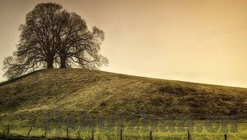 麻豆视频91-麻豆视频91，网络时代下的文化交叉与影响分析